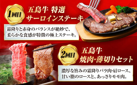 【12回定期便】大満足！五島牛 ファミリー特撰コース 五島市/五島市ふるさと納税[PZX030]