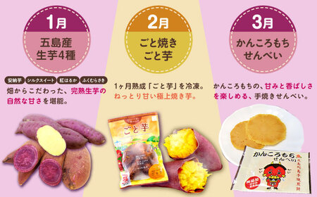 【12回定期便】五島の芋まんきつ定期便 五島市ふるさと納税/五島市[PZX052]