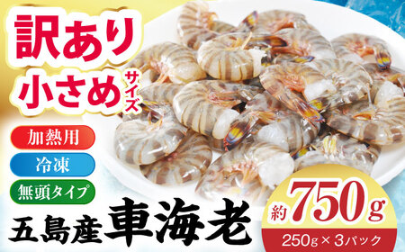 【訳あり】無頭冷凍車海老（加熱用）750g (250gx3P) 五島市／拓水 五島事業場[PCU009]