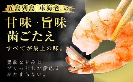 【訳あり】無頭冷凍車海老（加熱用）750g (250gx3P) 五島市／拓水 五島事業場[PCU009]