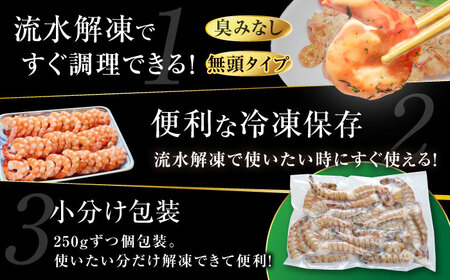 【訳あり】無頭冷凍車海老（加熱用）750g (250gx3P) 五島市／拓水 五島事業場[PCU009]