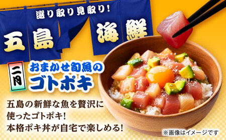 【6回定期便】五島のお魚！満喫定期便（2人前）/五島市[PZX053]