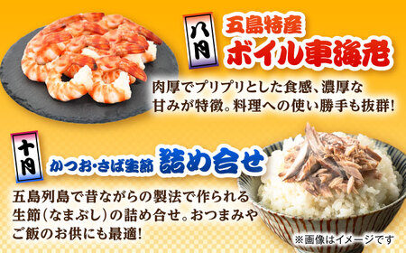 【6回定期便】五島のお魚！満喫定期便（2人前）/五島市[PZX053]