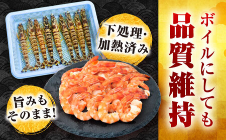 【3回定期便】五島特産 ボイル 車海老 エビ 尾付き むきえび 500g (250g×2P) 五島市/拓水 五島事業場[PCU010]