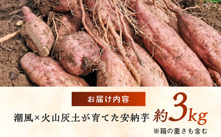 【2026年11月より発送】潮風と火山灰土が育てた島さつまいも『安納芋』3kg 五島市/あわたに農園[PGO005]