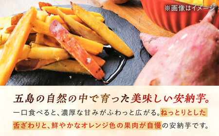 【2026年11月より発送】潮風と火山灰土が育てた島さつまいも『安納芋』3kg 五島市/あわたに農園[PGO005]