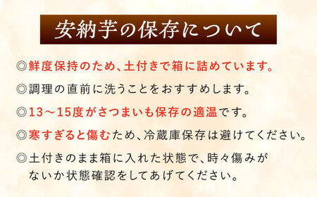 【2026年11月より発送】潮風と火山灰土が育てた島さつまいも『安納芋』3kg 五島市/あわたに農園[PGO005]
