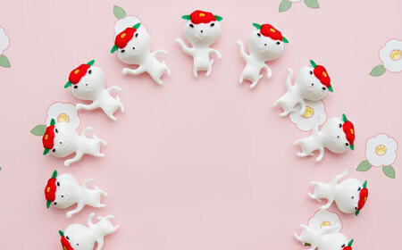 つばきねこマグネット 4袋（全身）五島市/五島あすなろ会 うまか食品[PAS058]