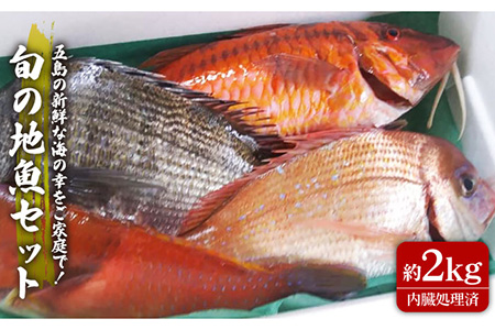 旬の地魚セット2kg（ウロコ・エラ・内臓処理済）鮮魚 魚介 刺身 五島市 / 五島FF [PBJ009] 魚 鮮魚 魚介 魚貝 海鮮 海産物 刺身 魚 鮮魚 魚介 魚貝 海鮮 海産物 刺身 魚 鮮魚 魚介 魚貝 海鮮 海産物 刺身 魚 鮮魚 魚介 魚貝 海鮮 海産物 刺身 魚 鮮魚 魚介 魚貝 海鮮 海産物 刺身