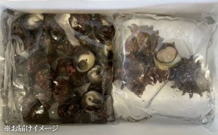 【天然海の幸、お酒のお供にも】おまかせ！五島の貝類詰め合わせ 1~2kg 五島市 / 五島FF [PBJ013] 貝 貝類 セット 詰め合わせ 貝 貝類 セット 詰め合わせ 貝 貝類 セット 詰め合わせ 貝 貝類 セット 詰め合わせ 貝 貝類 セット 詰め合わせ