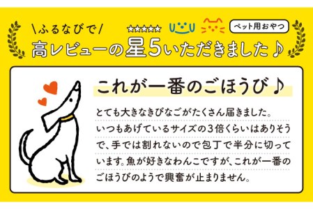 【ペットフード】きびなごスティック16袋（生干し8袋/蒸干し8袋） 五島市/浜口水産[PAI008] 犬 おやつ 国産 きびなご キビナゴ 干物 魚 煮干し にぼし 健康 カルシウム いぬ詰合せ ドックフード ペットフード