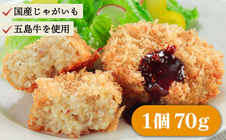 五島牛 コロッケ10個＆ハンバーグ6個 五島市/ニク勝[PBF006]