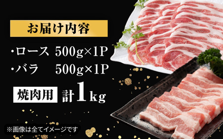 五島美豚 ロース・バラ 焼肉セット1kg 五島市 / ごとう農業協同組合 [PAF003] 豚肉 国産 豚ロース 豚バラ 焼肉 豚肉 国産 豚ロース 豚バラ 焼肉 豚肉 国産 豚ロース 豚バラ 焼肉 豚肉 国産 豚ロース 豚バラ 焼肉 豚肉 国産 豚ロース 豚バラ 焼肉