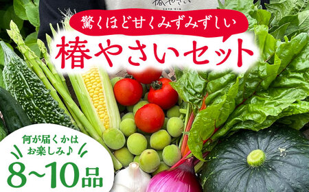 何が届くかはお楽しみ 椿やさいの野菜セット(8-10品)詰合せ 野菜 五島市/いきいきファーム [PCY001]