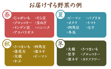 何が届くかはお楽しみ 椿やさいの野菜セット(8-10品)詰合せ 五島市 / いきいきファーム [PCY001] 新鮮 野菜 やさい おたのしみ野菜 おまかせ野菜 お取り寄せ野菜 新鮮 野菜 やさい おたのしみ野菜 おまかせ野菜 お取り寄せ野菜 新鮮 野菜 やさい おたのしみ野菜 おまかせ野菜 お取り寄せ野菜 新鮮 野菜 やさい おたのしみ野菜 おまかせ野菜 お取り寄せ野菜