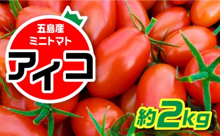 【食卓にトマトで彩りと笑顔を！】甘くて おいしい！ ミニトマト アイコ 約2kg 国産 トマト とまと 完熟 肉厚 新鮮 五島市/野口とまと [PCJ001]