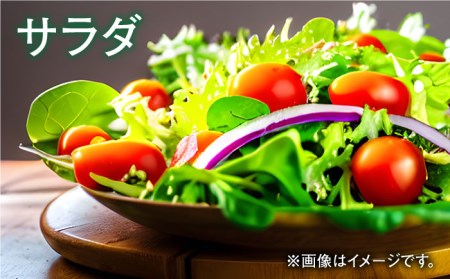 【食卓にトマトで彩りと笑顔を！】甘くて おいしい！ ミニトマト アイコ 計1.32kg (220g×6袋) 国産 トマト とまと 完熟 肉厚 新鮮 五島市/野口とまと [PCJ002]