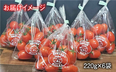 【食卓にトマトで彩りと笑顔を！】甘くて おいしい！ ミニトマト アイコ 計1.32kg (220g×6袋) 国産 トマト とまと 完熟 肉厚 新鮮 五島市/野口とまと [PCJ002]