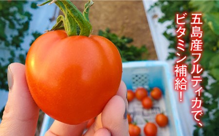 【食卓にトマトで彩りと笑顔を！】新鮮 トマト フルティカ 中玉 計2.2kg (220g×10袋) 国産 とまと 完熟 肉厚 五島市 / 野口とまと [PCJ003]