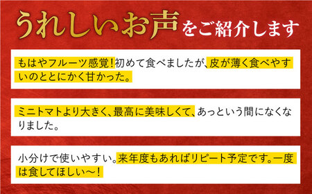 【食卓にトマトで彩りと笑顔を！】新鮮 トマト フルティカ 中玉 計2.2kg (220g×10袋) 国産 とまと 完熟 肉厚 五島市 / 野口とまと [PCJ003]