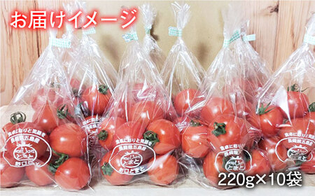 【食卓にトマトで彩りと笑顔を！】新鮮 トマト フルティカ 中玉 計2.2kg (220g×10袋) 国産 とまと 完熟 肉厚 五島市 / 野口とまと [PCJ003]