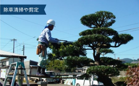 【五島に空き家をお持ちの方♪】空き家 の 管理事業 に係る オプションサービス【五島市シルバー人材センター】[PCA001]
