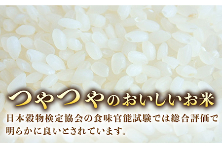 スイートミルク ミルキークイーン 10kg (5kg×2袋) 五島市/山口商店 [PEC003]