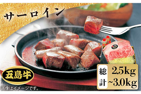 【日時指定必須】五島牛特上 サーロイン 2.5kg-3kg 国産牛 牛肉 ブランド牛 （ソース付） 五島市/鬼岳牧場[PEK006] 