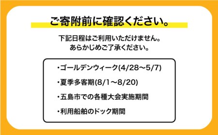 リゾートホテル1泊2食付き ペア 宿泊券 乗船券 島 旅 チケット 温泉