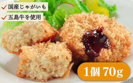 【6回定期便】五島牛 コロッケ10個＆ハンバーグ6個 五島市/ニク勝[PBF020] 