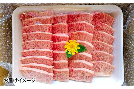 【6回定期便】五島牛 カルビ600g 五島市/肉のマルヒサ[PCV025] 