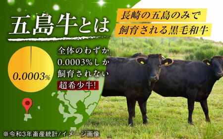 【全12回定期便】 やみつき 五島牛 サーロインステーキ 2枚入り 国産牛 牛肉【肉のマルヒサ】 [PCV029]