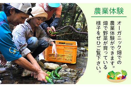 タイニーハウスねこたま 農業体験付 宿泊券 最大5名様 事前予約制 五島市/ぷらっと農園 [PDS009]  長崎 宿泊 体験 島 五島列島