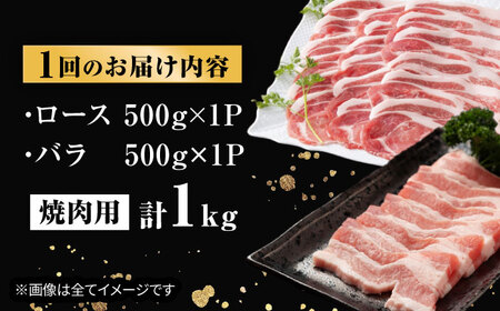 【全6回定期便】五島美豚 焼肉 セット (ロース・バラ) 6kg (1kg×6回) 五島市/ごとう農業協同組合 [PAF0011]