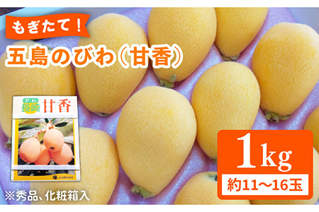 【数量限定】もぎたて！五島のびわ（甘香）化粧箱入 秀品 1kg【ごとう農業協同組合】[PEM002]