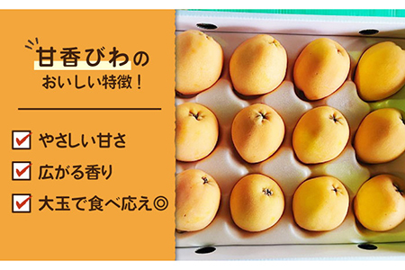 【数量限定】もぎたて！五島のびわ（甘香）化粧箱入 秀品 1kg【ごとう農業協同組合】[PEM002]