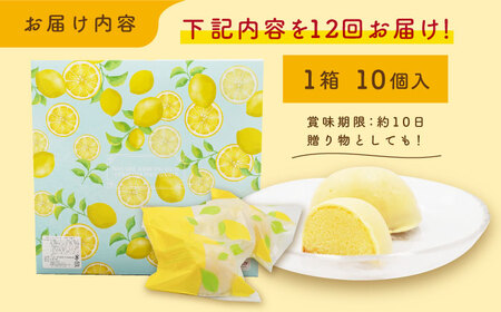 【12回定期便】レモンケーキ 10個入【観光ビルはたなか】[PAX024]  焼き菓子 洋菓子 スイーツ ギフト 贈答