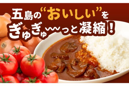 【五島牛と五島産の食材を使用したレトルト商品】こだわりの五島ハヤシ 5袋セット ハヤシライス レトルト【出口さんご】 [PBK014]