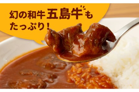 【全12回定期便】【五島牛と五島産の食材を使用したレトルト商品】こだわりの五島ハヤシ 5袋セット【出口さんご】 [PBK017]