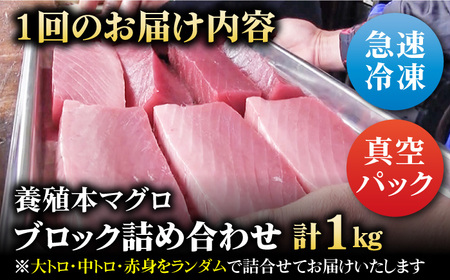 【全3回定期便】本マグロ (養殖) ブロック 詰合せ 計3kg (1kg×3回) 刺身【奥浦海鮮直売所】 [PCL009]