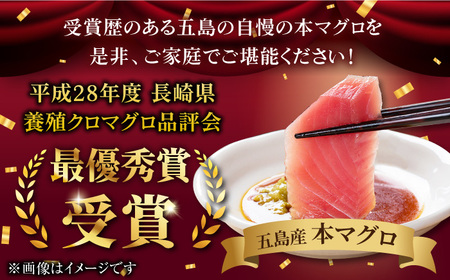 【全6回定期便】本マグロ (養殖) ブロック 詰合せ 計6kg (1kg×6回) 刺身【奥浦海鮮直売所】 [PCL010]