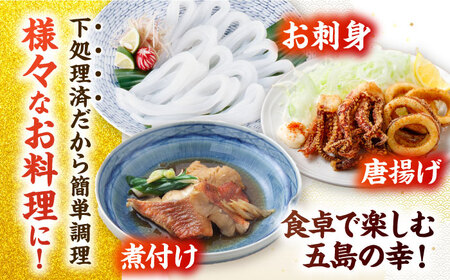 【冷蔵】【下処理済】鮮魚ボックス（魚2種/アオリイカ/魚醤油1種） 五島市/金沢鮮魚[PEP002]  冷蔵 真空パック 新鮮 下処理済み 海鮮 刺身 セット 水いか金澤仕立て  鮮魚 冷蔵 真空パック 新鮮 下処理済み 海鮮 刺身 セット 水いか