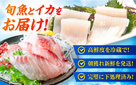 【冷蔵】【下処理済】鮮魚ボックス（魚3種/アオリイカ/魚醤油2種） 五島市/金沢鮮魚[PEP003]   冷蔵 真空パック 新鮮 下処理済み 海鮮 刺身 セット 水いか イカ 魚 鮮魚 おさしみ 刺し身 刺身 さしみ いか 醤油 金澤仕立て  鮮魚 冷蔵 真空パック 新鮮 下処理済み 海鮮 刺身 セット 水いか