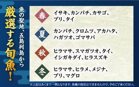 【冷蔵】【下処理済】鮮魚ボックス（魚3種/アオリイカ/魚醤油2種） 五島市/金沢鮮魚[PEP003]   冷蔵 真空パック 新鮮 下処理済み 海鮮 刺身 セット 水いか イカ 魚 鮮魚 おさしみ 刺し身 刺身 さしみ いか 醤油 金澤仕立て  鮮魚 冷蔵 真空パック 新鮮 下処理済み 海鮮 刺身 セット 水いか