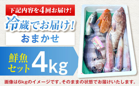 【全4回定期便】【五島列島直送】朝獲れ高級鮮魚セット4kg 五島市 / 鯛福丸水産[PDP006]  魚 鮮魚 セット 海鮮 直送 さかな 詰合せ 冷蔵 定期