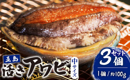 【到着日・受取時間指定必須】【配送エリア限定】【数量限定商品！】五島産養殖活きアワビ 1個あたり約100g前後 中サイズ3個 あわび 鮑 五島市/（有）都工業 [PEX001]