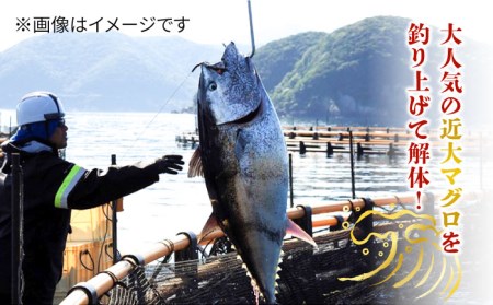 長崎県五島産 近大マグロ （中トロ）刺身ブロック 五島市/五島ヤマフ[PAK018] 