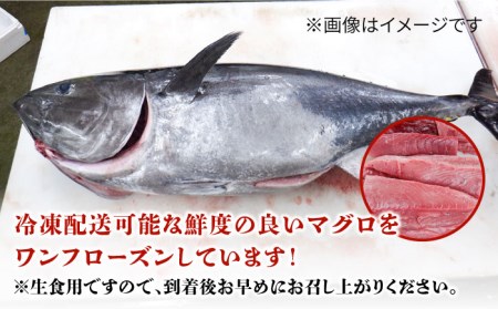 長崎県五島産 近大マグロ （赤身）刺身ブロック 五島市/五島ヤマフ[PAK019] 