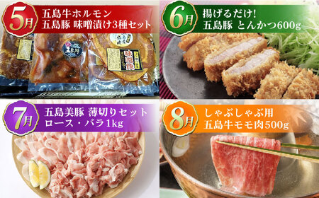 【肉づくし全12回定期便】五島産のいろんなお肉が毎月届く！お肉大集合スペシャル/五島市[PZX005]  五島列島 ブランド肉 牛 豚
