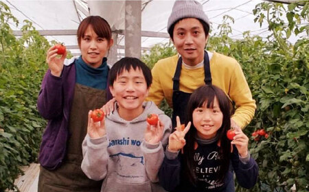 【とまと農家がつくるお米】ミルキープリンセス 5kg 五島市富江産 野口とまと/五島市 [PCJ006]